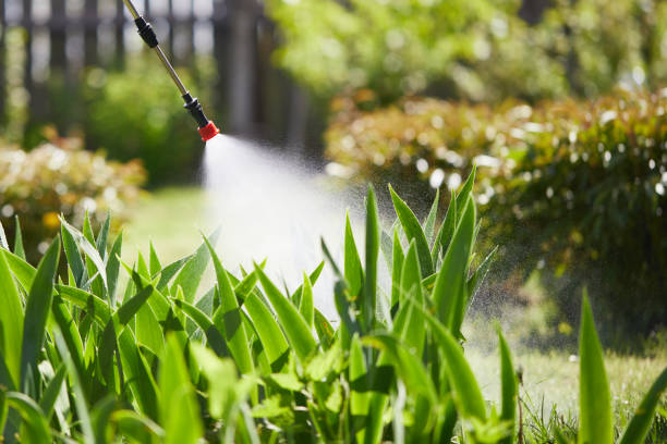 24/7 Emergency Mosquito Control experts in Calhoun, GA