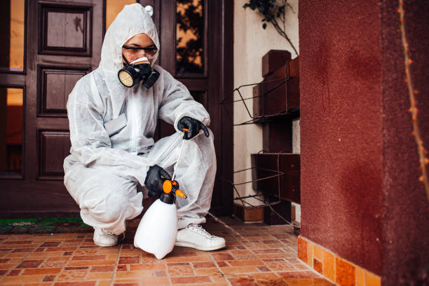 Reliable Mosquito Control contractor in Calhoun, GA by Show Me Pest Control