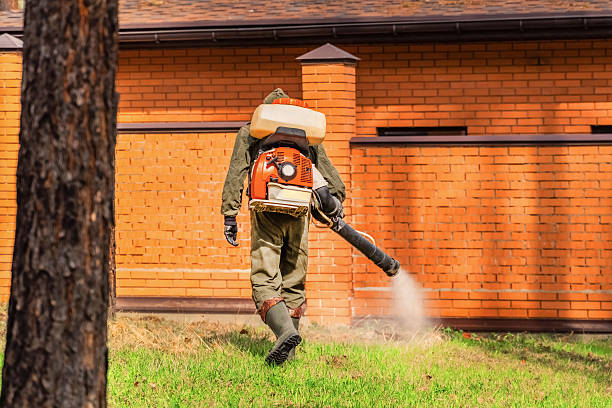 Top rated local Mosquito Control specialists in Calhoun, GA